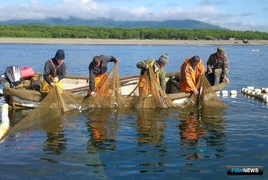 Приморье приготовилось к встрече лосося