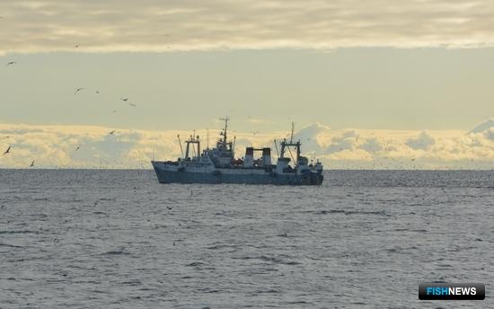 Российский промысел удерживает прибавку Российский промысел удерживает прибавку