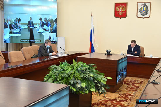 Горбушу на Амуре допустили к рыбалке