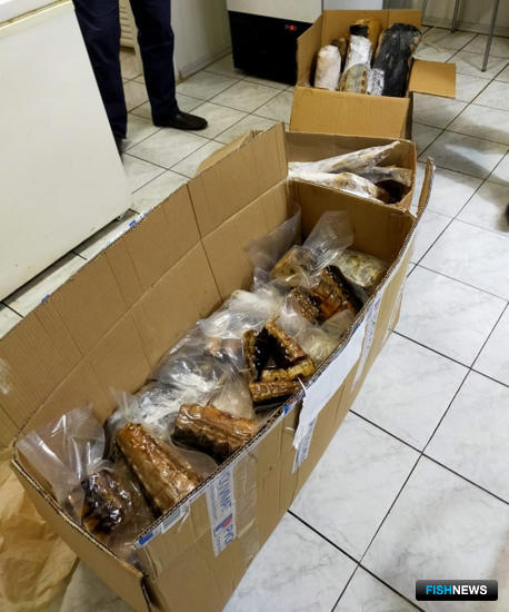 Бизнес на нелегальной рыбе закрыли силовики