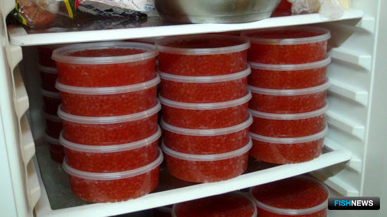 Бизнес на нелегальной рыбе закрыли силовики