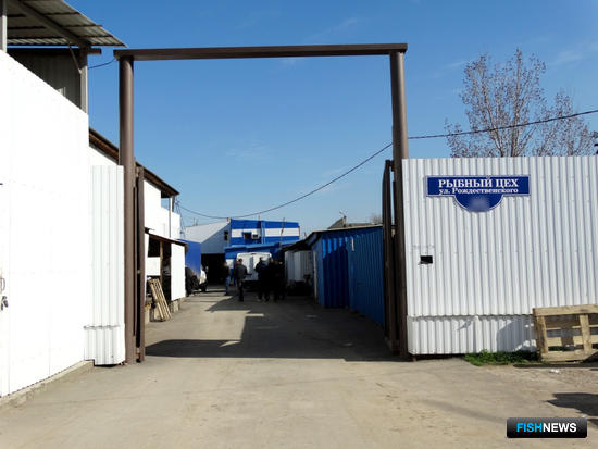 Бизнес на нелегальной рыбе закрыли силовики