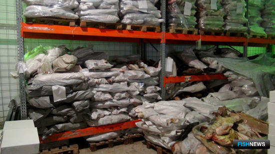 Бизнес на нелегальной рыбе закрыли силовики