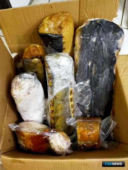 Бизнес на нелегальной рыбе закрыли силовики