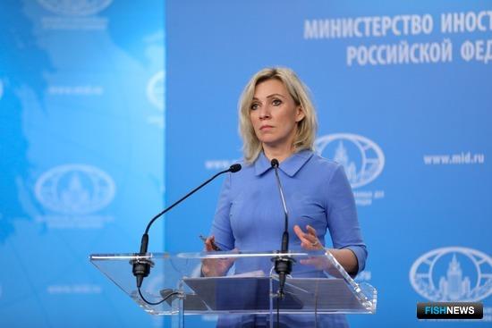 МИД: Совместные проекты на Курилах должны осуществляться по законам РФ