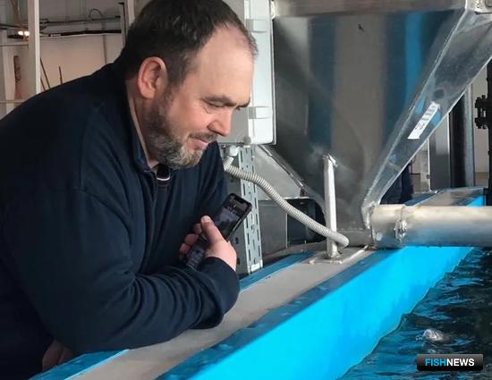 Запасы Оби пополняют чиром и муксуном