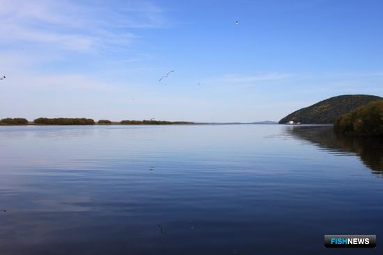 Для КМНС Хабаровского края определили сроки летней путины