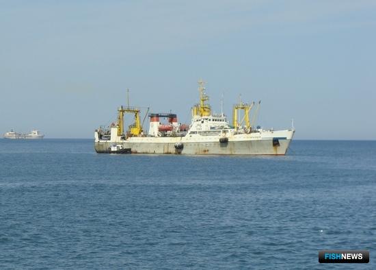 Российские уловы демонстрируют уверенную прибавку Российские уловы демонстрируют уверенную прибавку