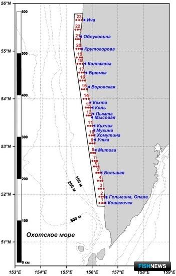 Теплая вода у берегов Камчатки дает больше шансов молоди лососей