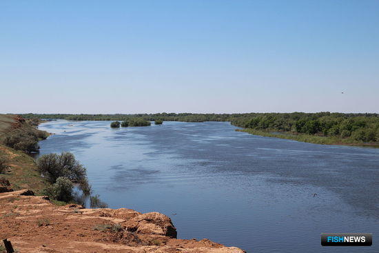 Рыболовные участки Нижнего Поволжья разыграют на конкурсе Рыболовные участки Нижнего Поволжья разыграют на конкурсе