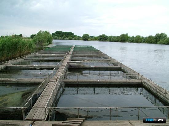 Заключения ГЭЭ продлили до конца 2021 года Заключения ГЭЭ продлили до конца 2021 года