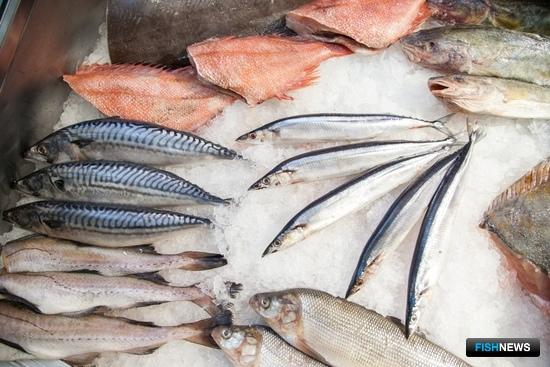 Минсельхоз представил законопроект о сертификатах здоровья Минсельхоз представил законопроект о сертификатах здоровья