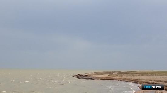 Рыбные запасы Сиваша оценят ученые