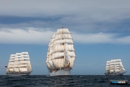 Под &laquo;Парусами мира&raquo;