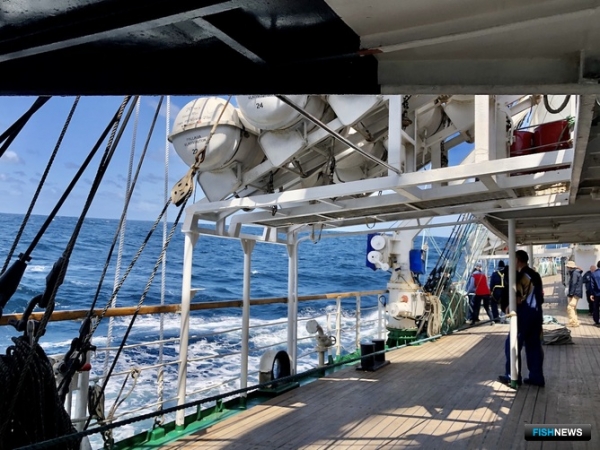 Под &laquo;Парусами мира&raquo;