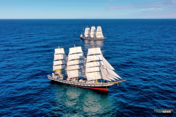 Под &laquo;Парусами мира&raquo;