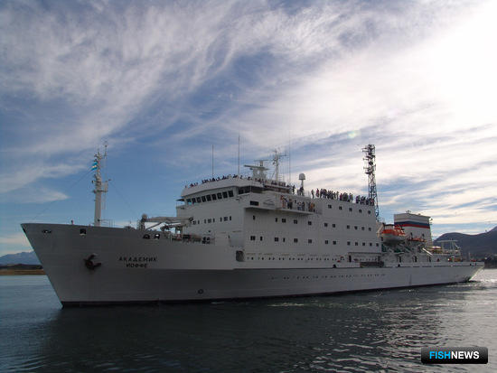 Условия жизни балтийской рыбы проверят ученые