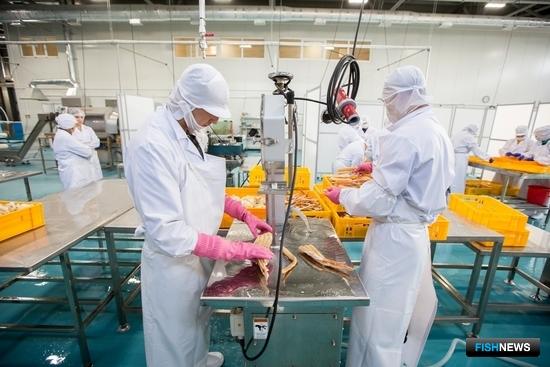 Под прессом: добытчики краба обратились к президенту