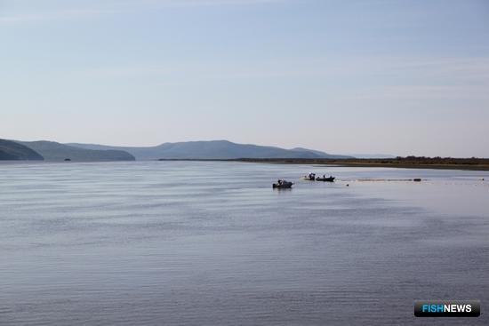 Максим Бергеля: Последствия от запрета сетей будут самые тяжелые