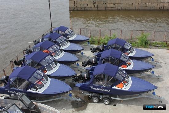 Рыбоохрана Приамурья достанет браконьеров в медвежьих углах