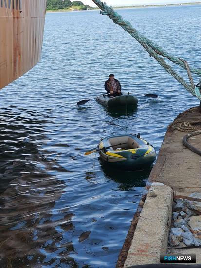 Моряки вовремя подоспели на помощь утопающему в бухте Андреева