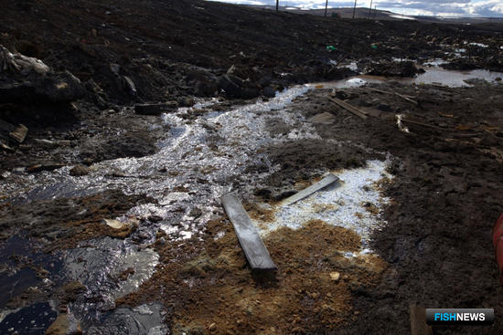 Природа Таймыра пострадала от нефтеразлива на сотни миллиардов