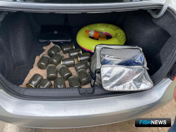 Масштабный браконьерский бизнес «накрыли» силовики в Крыму Масштабный браконьерский бизнес «накрыли» силовики в Крыму