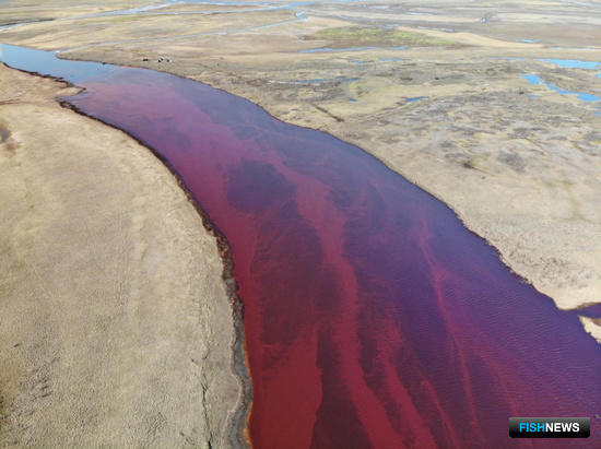 Нефтяники составят планы по борьбе с разливами Нефтяники составят планы по борьбе с разливами