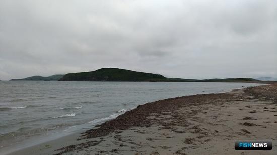 Плату за посещение ООПТ рассчитают по системе Плату за посещение ООПТ рассчитают по системе