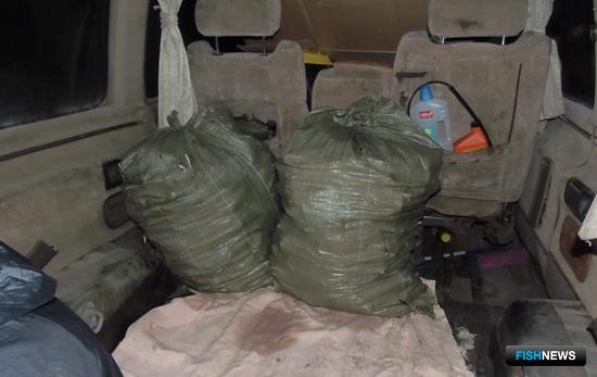 Браконьерского краба «приняли» на причале