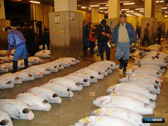 Япония надеется сменить тренды в рыбной отрасли