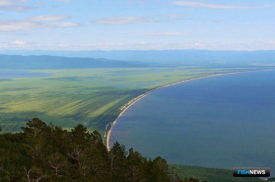 На Байкале приготовили места под промысел На Байкале приготовили места под промысел