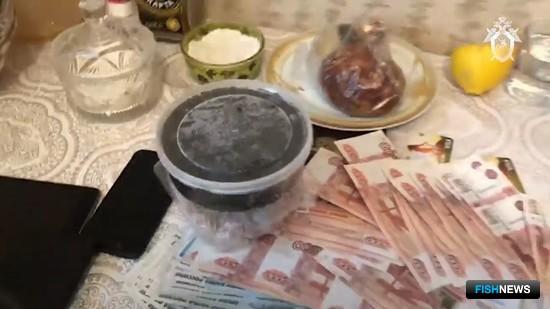 Торговцы браконьерской икрой дают показания