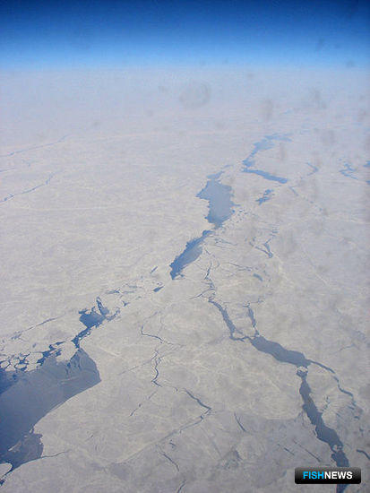 Инвестиционные квоты: Чукотское море предлагают поменять на Чукотскую зону