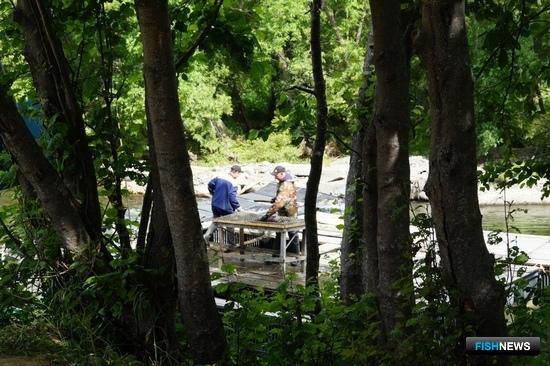 Старейший ЛРЗ Камчатки заполняет инкубаторы