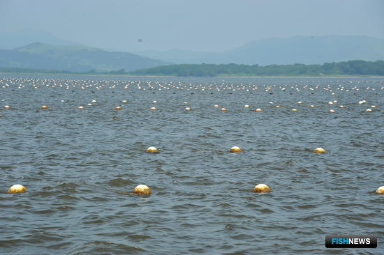 Суд обязал защитить воды Приморья от грязных стоков
