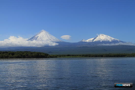 Камчатский залив вновь включили в промысловую карту