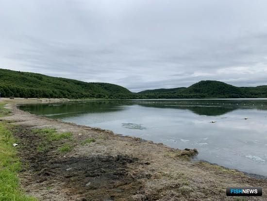 Ученые Сахалина предупредили об опасности голубого озера Ученые Сахалина предупредили об опасности голубого озера