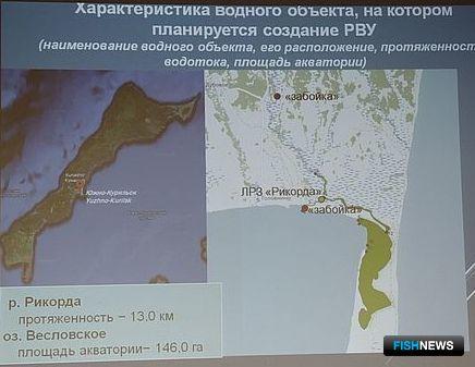 Рыбоводным заводам в Сахалинской области готовят участки Рыбоводным заводам в Сахалинской области готовят участки