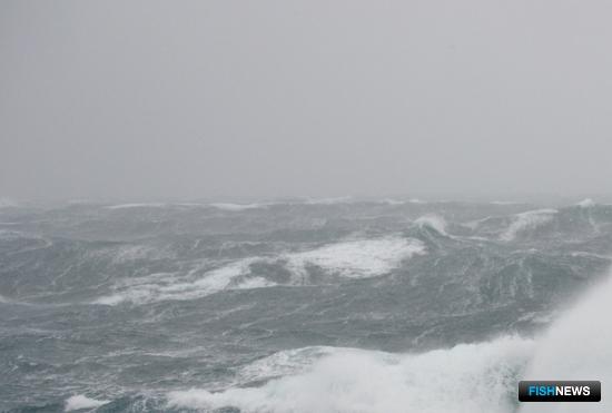 РРПК предложила реформу с квотами