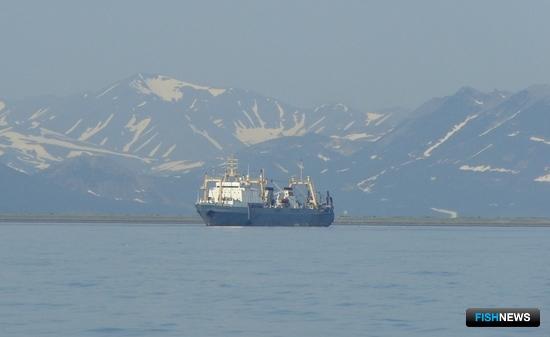 Российский вылов достиг 3 млн тонн