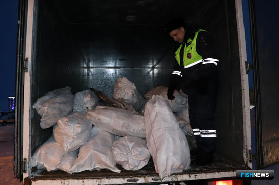 Дело о таймырском муксуне направили в суд