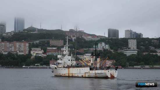 В Охотском море посчитают китообразных В Охотском море посчитают китообразных