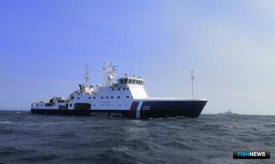 Россия и США вместе контролируют приграничный промысел морзверя