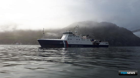 Россия и США вместе контролируют приграничный промысел морзверя