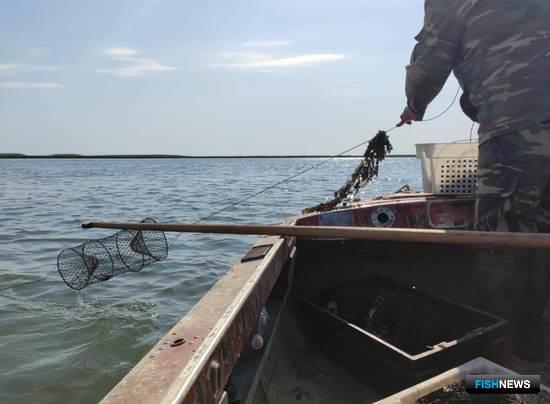 Кубанские раки нуждаются в ежегодном мониторинге