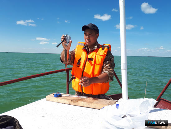 Рыбные ресурсы озер Западной Сибири оценивает наука