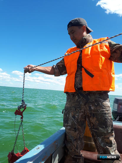 Рыбные ресурсы озер Западной Сибири оценивает наука
