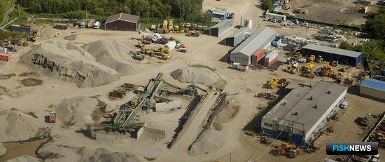 План спасения лосося от горнодобытчиков предложил WWF План спасения лосося от горнодобытчиков предложил WWF