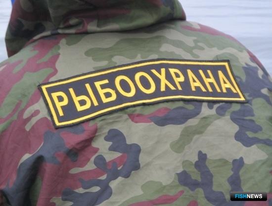 В правилах для рыбоохраны учли изменения закона